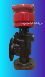 شیر زیر موبری - تصویر 2